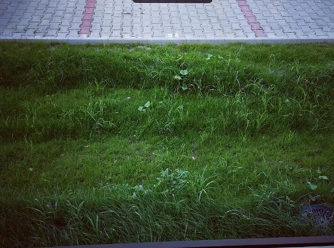 Vivamus Garden Retreat - Studio With Terace & Parking Apartman *